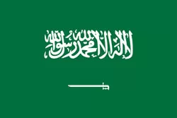 沙特阿拉伯 战队徽标